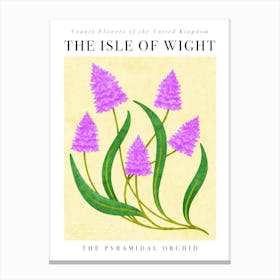 UK County Flowers Isle Of Wight Pyramidal Orchid Canvas Print