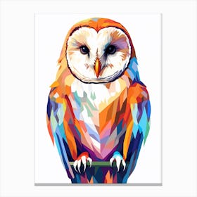 Colourful Geometric Bird Barn Owl 2 Canvas Print