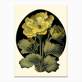 Marsh Marigold Wildflower Vintage Botanical Canvas Print