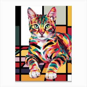 Cat In A Square Canvas Print