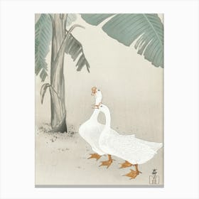 Two Geese At Banana Tree (1900 1945), Ohara Koson Canvas Print