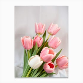 Pink Tulips Canvas Print