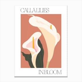 Calla Lilies In Bloom Flowers Bold Illustration 1 Canvas Print