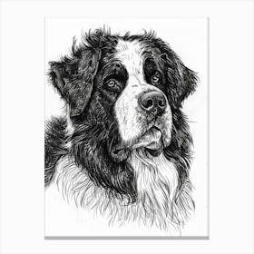 Newfoundland Dog Line Sketch 2 Canvas Print