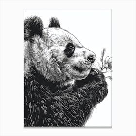 Giant Panda Sniffing A Flower Ink Illustration 3 Canvas Print