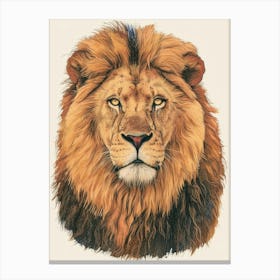 African Lion Portrait Close Up Clipart 4 Canvas Print