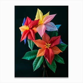 Bright Inflatable Flowers Poinsettia 1 Canvas Print