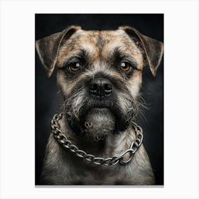 Street dog Canvas Print