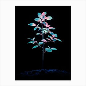 Luminous Plant Canvas Print