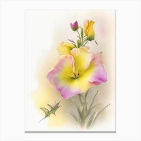 Evening Primrose Wildflower Watercolour 1 Canvas Print