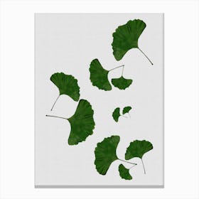 Ginkgo Leaf I Canvas Print