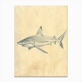 Blue Shark Vintage Illustration 2 Canvas Print