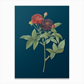 Vintage Van Eeden Rose Botanical Art on Teal Blue n.0297 Canvas Print