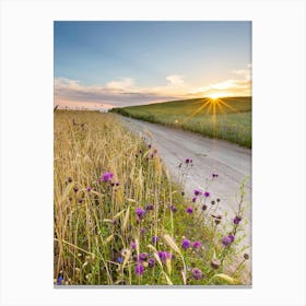 Sunset In A Field Canvas Print