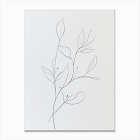 Line Drawing Of A Leaf 1 Canvas Print