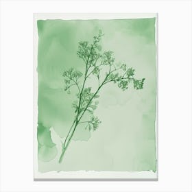 Green Ink Painting Of A Mountain Spleenwort 2 Canvas Print