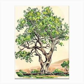 Acacia Tree Storybook Illustration 1 Canvas Print