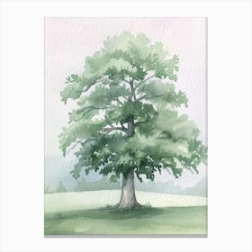 Oak Tree Atmospheric Watercolour Painting 9 Canvas Print