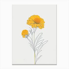 Marigold Floral Minimal Line Drawing 2 Flower Canvas Print