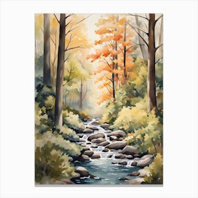 Stream In The Woods 1 Canvas Print