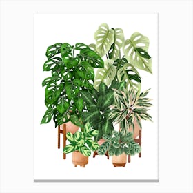 Plant Collection 1 Canvas Print