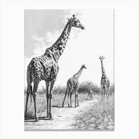 Giraffe Walking Down The Path Pencil Drawing 1 Canvas Print