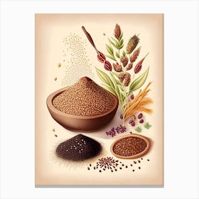 Sesame Seeds Spices And Herbs Retro Drawing 2 Canvas Print