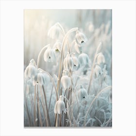 Frosty Botanical Snowdrop 2 Canvas Print