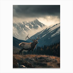 Elk In The Mountains Canvas Print