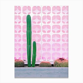 Cactus Plants In Front Of Pink Mid Century Modern Wall Canvas Print