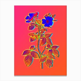Neon Red Bramble Leaved Rose Botanical in Hot Pink and Electric Blue n.0192 Canvas Print