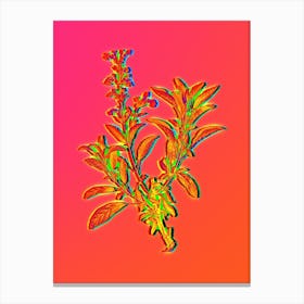 Neon Garden Sage Botanical in Hot Pink and Electric Blue n.0419 Canvas Print