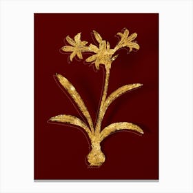 Vintage Amaryllis Botanical in Gold on Red n.0454 Canvas Print