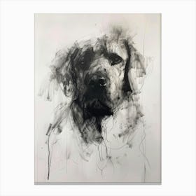 Kuvasz Dog Charcoal Line 2 Canvas Print