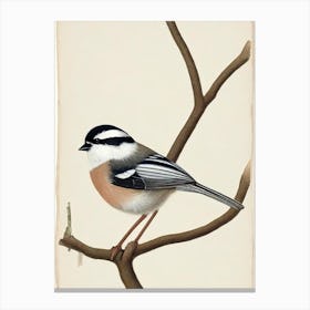 Carolina Chickadee Illustration Bird Canvas Print