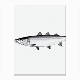 Salmon Black & White Drawing Canvas Print