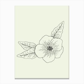 Flower Drawing line art Canvas Print