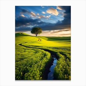 Lone Tree In The Field Canvas Print