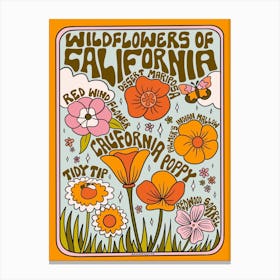 California Wildflowers Canvas Print