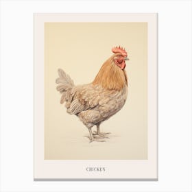 Vintage Bird Drawing Chicken 1 Poster Canvas Print