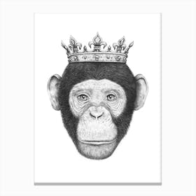 Monkey King Canvas Print