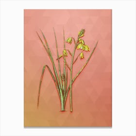 Vintage Slime Lily Botanical Art on Peach Pink n.0478 Canvas Print