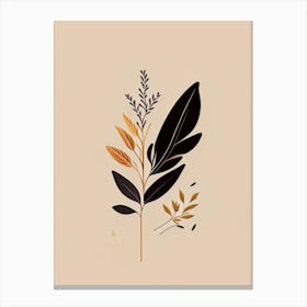 Licorice Root Spices And Herbs Retro Minimal 3 Canvas Print