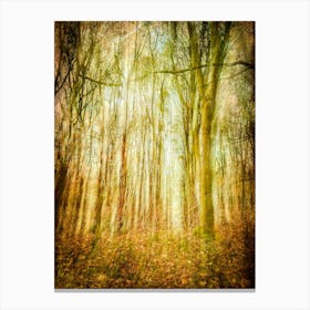 Woodland Hideaway Canvas Print