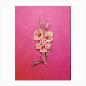 Vintage Pink Ruddy Godetia Botanical Art on Beetroot Purple n.0120 Canvas Print