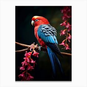 Tropical Elegance: Rosella Bird Wall Poster Canvas Print