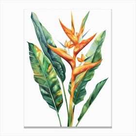 Bird Of Paradise 40 Canvas Print