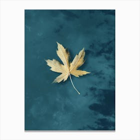 Autumn Leaf On Water Canvas Print