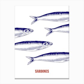 Sardines Canvas Print