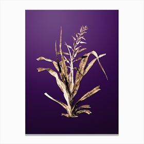 Gold Botanical Pitcairnia Bromeliaefolia on Royal Purple n.4880 Canvas Print